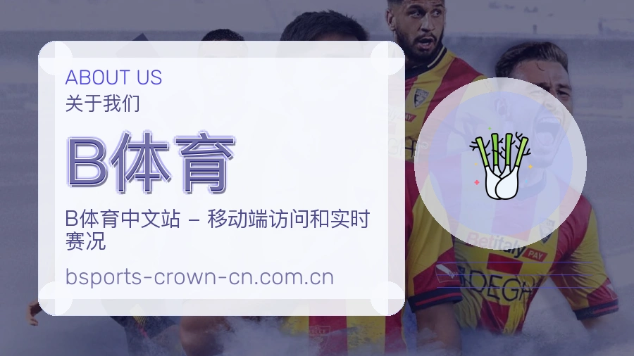 B体育关于我们